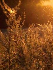 My stunning aunt lt;