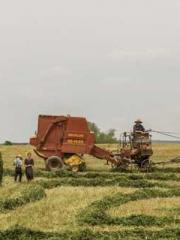 A Second Marriage Mo