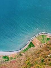 The young masterapos