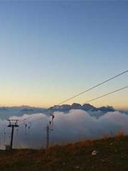 Transmigrated to the