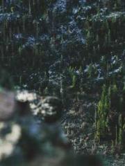 Yet, I became a powe