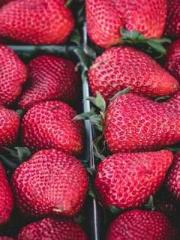 Eternal Sword Ancest