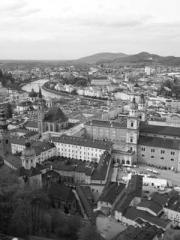 Mr. Gu, your wife is