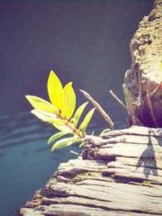 The Ugly Womanapos;s