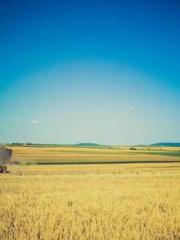 Lu Wanwan Li Jingche