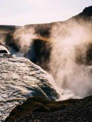 lt;lt;The Trash Husb