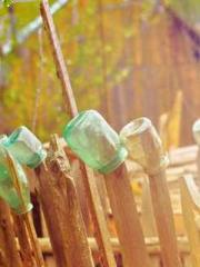 Reborn in 1989: Crea