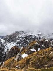 The Realm of the Dao