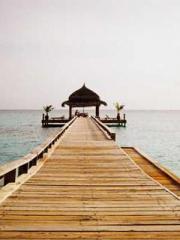 A Heavenly Gift: The