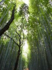 Crossing the Great Q