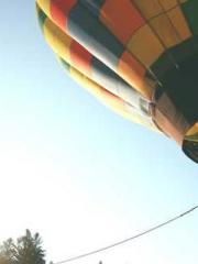 The Hardships of a D