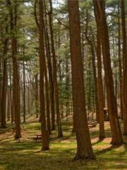 Shocking! This prota