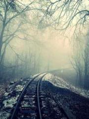 The Rebirth of a Phy