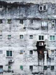 The dragon son-in-la