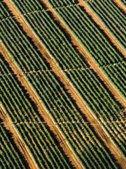 Fast Travel: The Vil