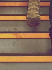 I Picked Up a Cultiv