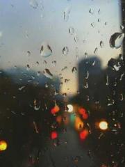 lt;Mr. Bao, Mrs. Bao