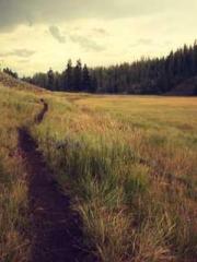 A Lifetime of Captiv