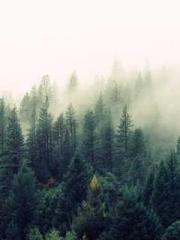 RONG Zhaonan NING Yu