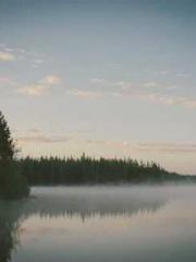 The Stand-in Wife Wa