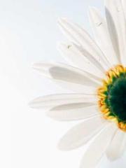 Super husband Lin Xi