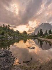 The Wife of My Heart