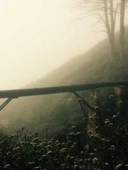 A Spicy Wife from th