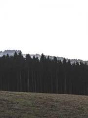 lt;Ye Qingyun, Tiany