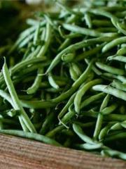 Fāng Chénlín Xuěyán