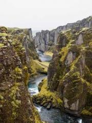 The Daring Wife of a