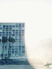 My pets are all amaz