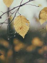 Cultivating My Empre