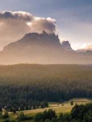 The Imperial Concubi