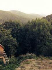 lt;Liang Yimo Cold N